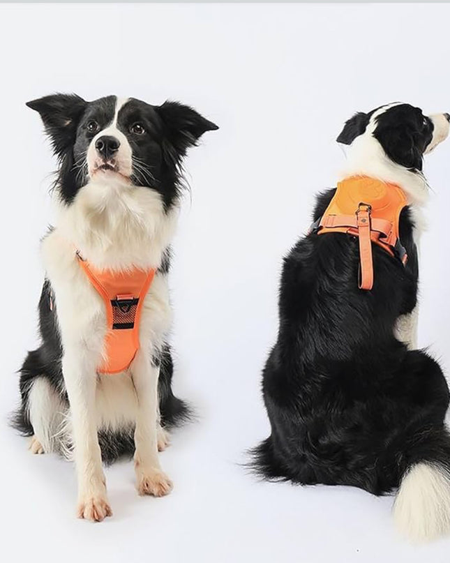 No-Pull Dog Harness with Handle – Adjustable & Comfortable Fit