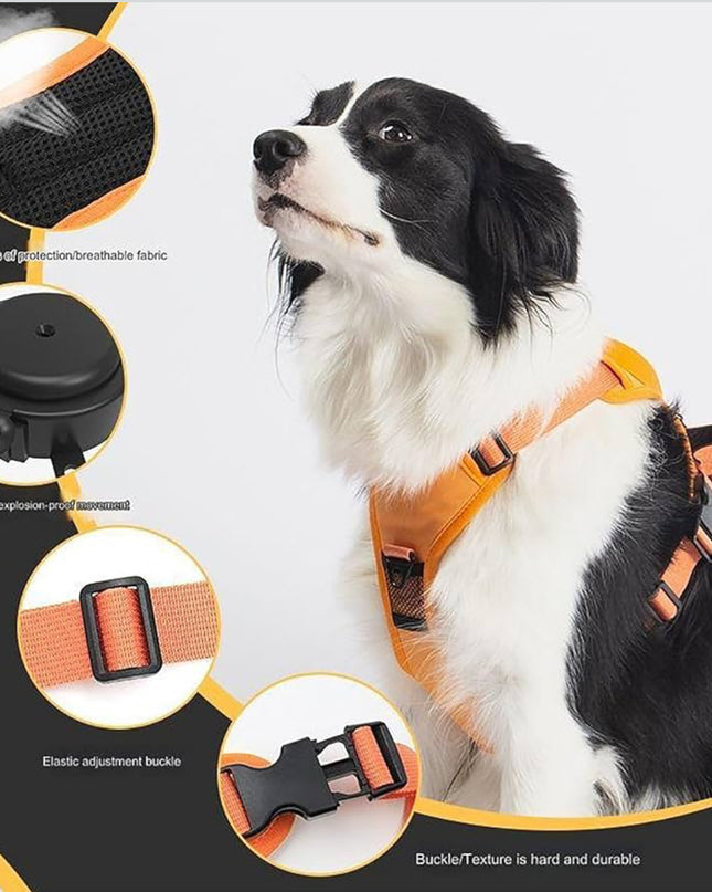 No-Pull Dog Harness with Handle – Adjustable & Comfortable Fit