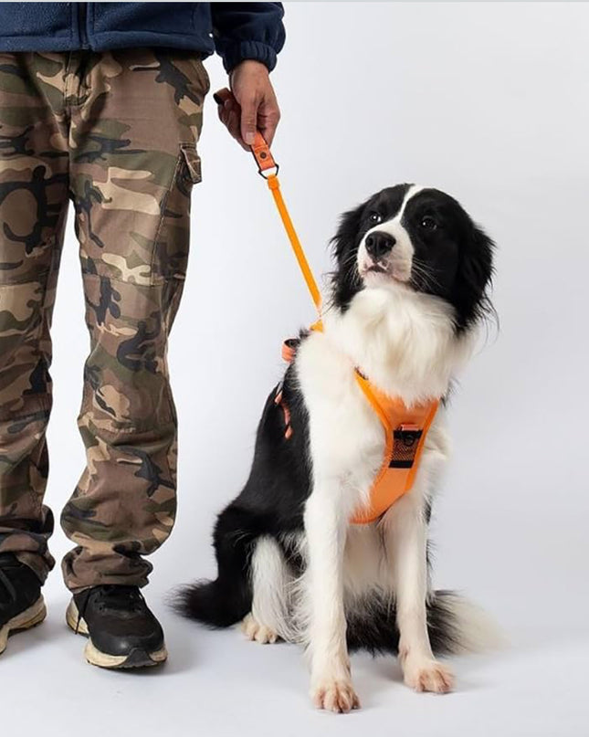 No-Pull Dog Harness with Handle – Adjustable & Comfortable Fit